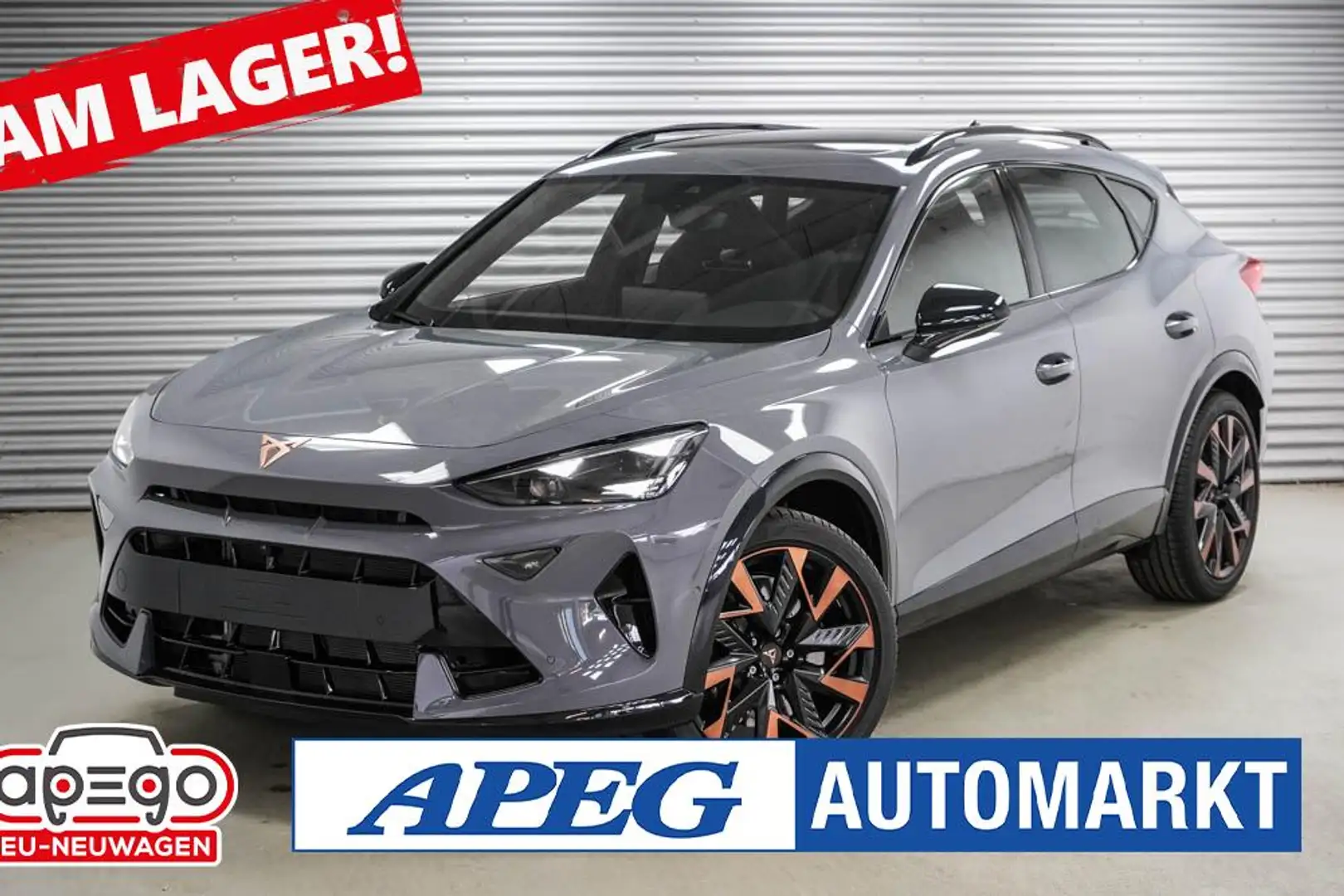 CUPRA Formentor 2,0 TSI DSG 4x4 VZ Grau - 1