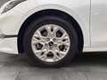 Kia Ceed SW / cee'd SW CEEDSW TITAN 1.0 TGDI MT6 100 P1 Blanco - thumbnail 6