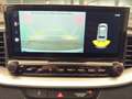 Kia Ceed SW / cee'd SW CEEDSW TITAN 1.0 TGDI MT6 100 P1 Weiß - thumbnail 13