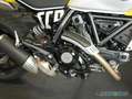 Ducati Scrambler Icon 48PS Version (A2) Gelb - thumbnail 4