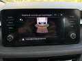 Skoda Fabia Fabia 1.0 mpi Ambition 80cv *PRONTA CONSEGNA* Zilver - thumbnail 10