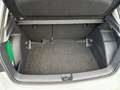 Skoda Fabia Fabia 1.0 mpi Ambition 80cv *PRONTA CONSEGNA* Zilver - thumbnail 15