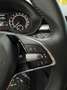Skoda Fabia Fabia 1.0 mpi Ambition 80cv *PRONTA CONSEGNA* Zilver - thumbnail 12