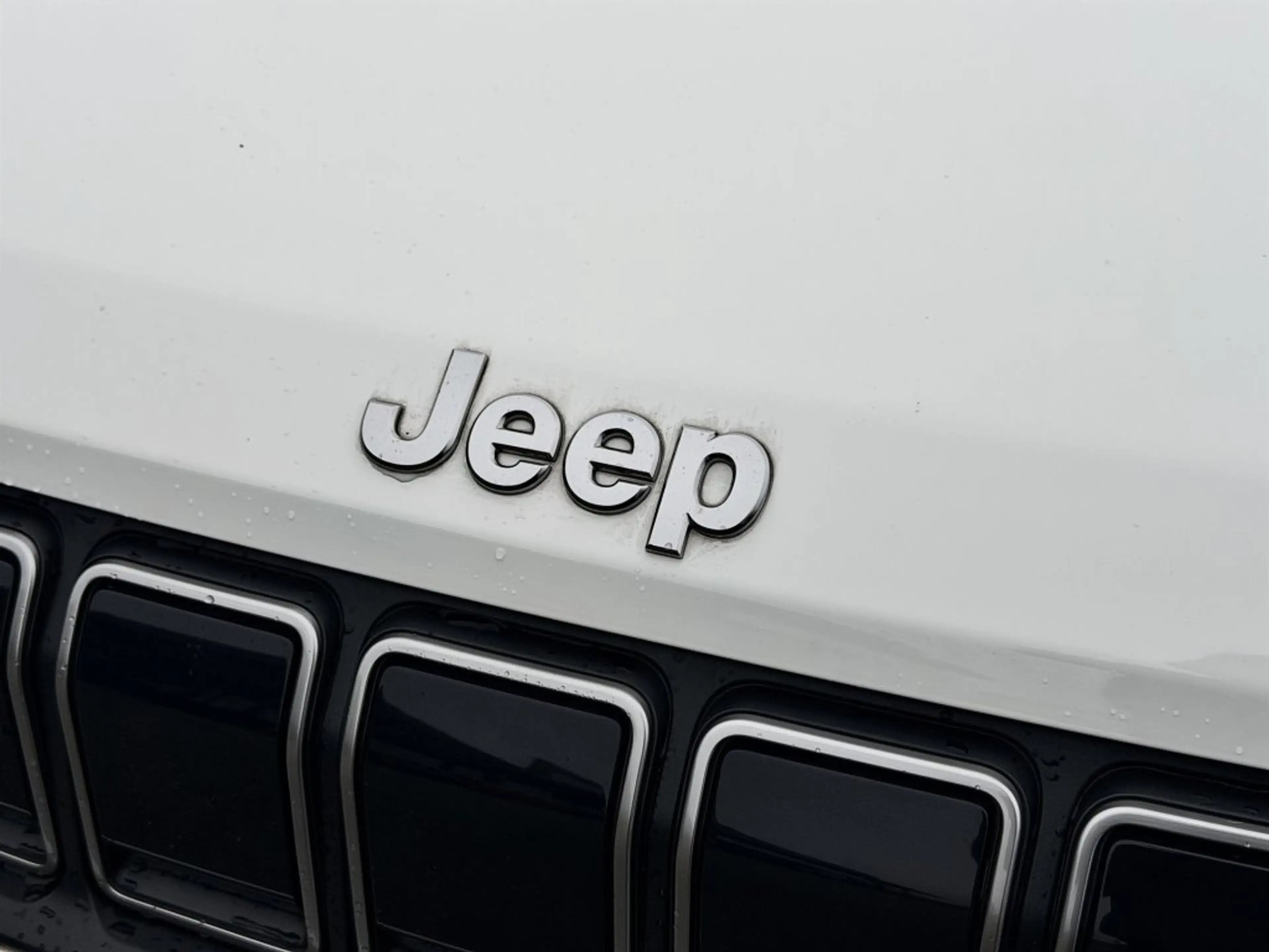 Jeep Avenger e-Hybrid Altitude PANORAMADACH — photo 9