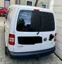 Volkswagen Caddy Caddy Kombi Maxi 2,0 TDI Weiß - thumbnail 4