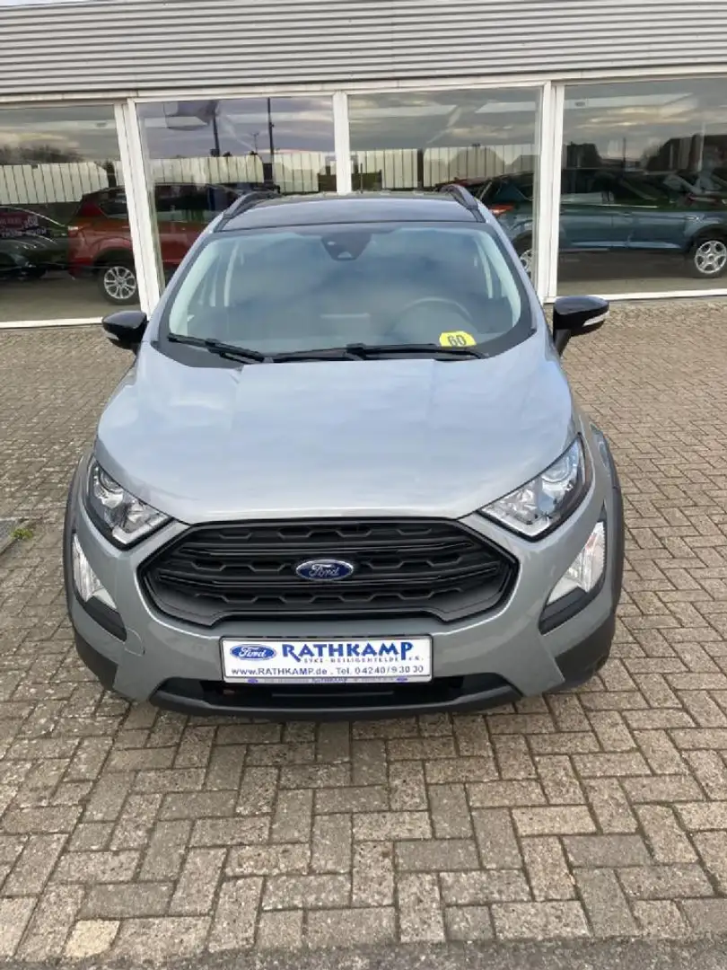 Ford EcoSport Active Silber - 2