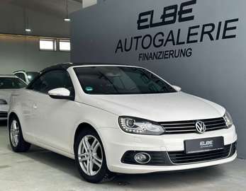 Cabrio 2.0 TDI Basis 1.Hand Voll-Service