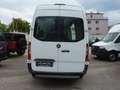 Mercedes-Benz Sprinter Sprinter 314 *31*  AKTIONSPREIS Weiß - thumbnail 5