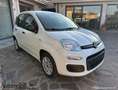 Fiat Panda Panda 1.2 Easy Connect 69cv Bianco - thumbnail 7
