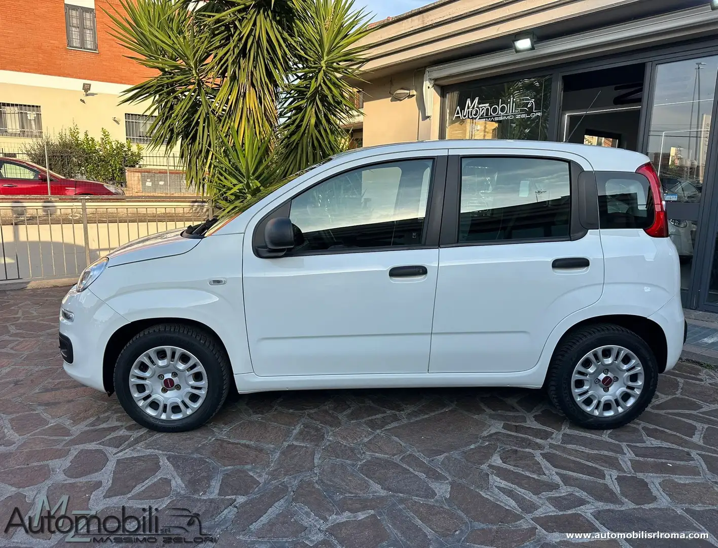 Fiat Panda Panda 1.2 Easy Connect 69cv Bianco - 2