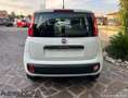 Fiat Panda Panda 1.2 Easy Connect 69cv Bianco - thumbnail 4