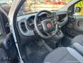 Fiat Panda Panda 1.2 Easy Connect 69cv Bianco - thumbnail 9