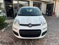 Fiat Panda Panda 1.2 Easy Connect 69cv Bianco - thumbnail 8