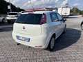 Fiat Punto 1.3 MJT II 75CV 5porte Lounge OK NEOPATENTATI!!!!! Bianco - thumbnail 4