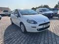 Fiat Punto 1.3 MJT II 75CV 5porte Lounge OK NEOPATENTATI!!!!! Bianco - thumbnail 3