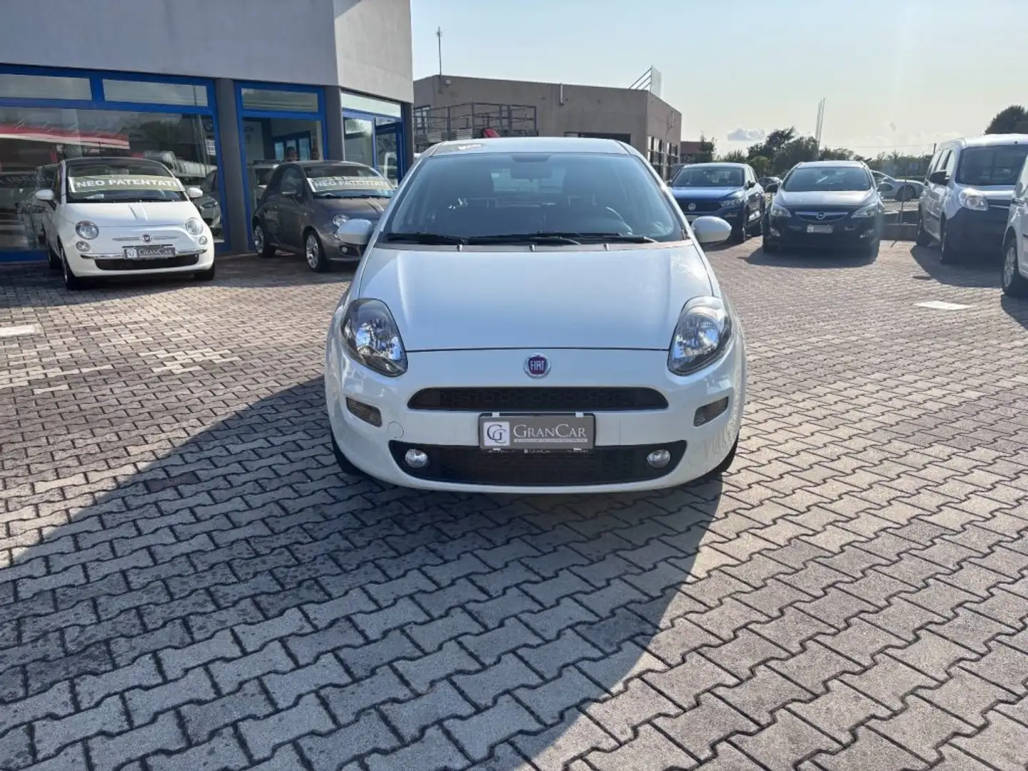 Fiat Punto 1.3 MJT II 75CV 5porte Lounge OK NEOPATENTATI!!!!! Bianco - 2