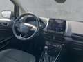 Ford EcoSport Titanium 1.0 l Navi Soundsystem B & O LED Apple Ca Schwarz - thumbnail 12