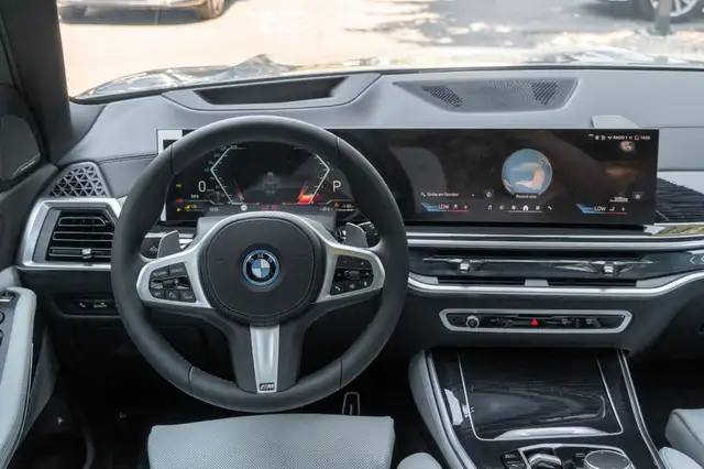 BMW X5 X5 view 12