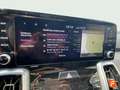 Kia Sorento 1.6 T-GDi HEV Drive 4x2 Blanco - thumbnail 14