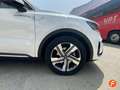 Kia Sorento 1.6 T-GDi HEV Drive 4x2 Blanco - thumbnail 25