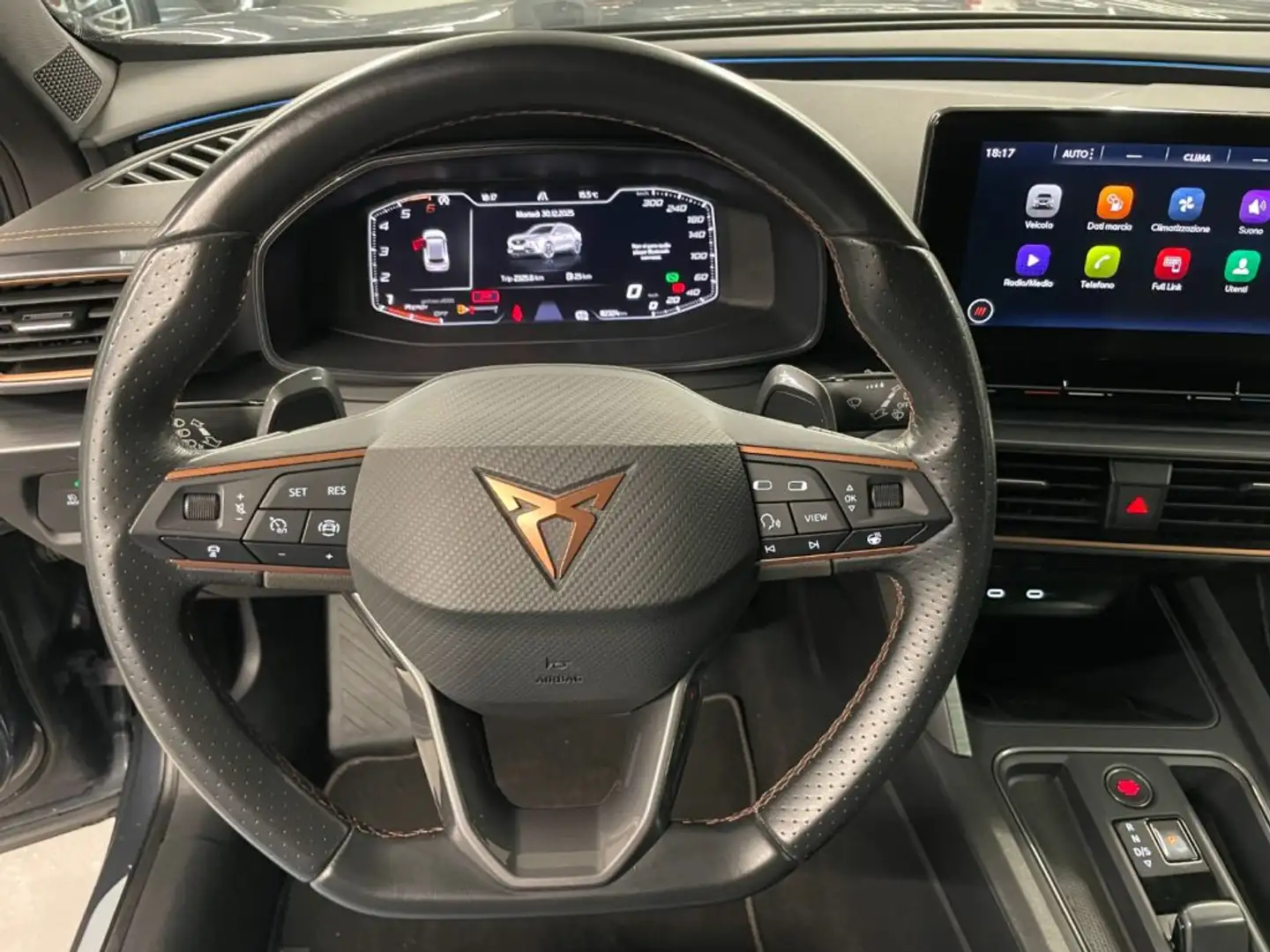 CUPRA Formentor 2.0 TDI 150 CV 4Drive DSG Grigio - 2