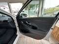 Hyundai i30 Trend 1,4 T-GDI DCT Automatik Panoramadach Weiß - thumbnail 10