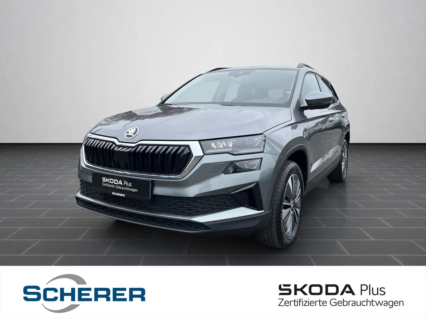 Skoda Karoq 2.0 TDI DSG Style Matrix-LED, Kessy, RFK, Grau - 1