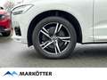Volvo XC60 B4 AWD R-Design 360CAM/STHZ/PANO/HUD/4xSHZ White - thumbnail 5