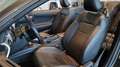 Ford Mustang Mustang Convertible V8 5.0 421 Grau - thumbnail 10