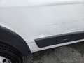 Fiat DUCATO Bianco - thumbnail 12