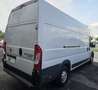 Fiat DUCATO Bianco - thumbnail 15