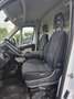 Fiat DUCATO Bianco - thumbnail 10
