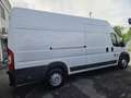 Fiat DUCATO Bianco - thumbnail 13