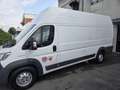 Fiat DUCATO Bianco - thumbnail 5