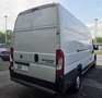 Fiat DUCATO Bianco - thumbnail 14