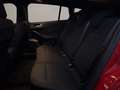 Ford Focus sw 1.0 ecoboost h business 125cv Rosso - thumbnail 14