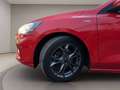 Ford Focus sw 1.0 ecoboost h business 125cv Rosso - thumbnail 15