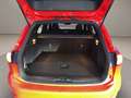 Ford Focus sw 1.0 ecoboost h business 125cv Rosso - thumbnail 10