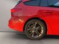 Ford Focus sw 1.0 ecoboost h business 125cv Rosso - thumbnail 12