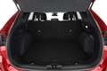 Ford Kuga 2.0 EcoBlue Titanium LED Navi ACC AHK Rosso - thumbnail 25