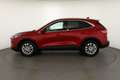Ford Kuga 2.0 EcoBlue Titanium LED Navi ACC AHK Rosso - thumbnail 2