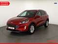Ford Kuga 2.0 EcoBlue Titanium LED Navi ACC AHK Rosso - thumbnail 1