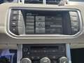 Land Rover Range Rover Evoque 2.2L TD4 Pure Tech 4x4 Aut. Blanc - thumbnail 14