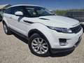Land Rover Range Rover Evoque 2.2L TD4 Pure Tech 4x4 Aut. Blanc - thumbnail 4