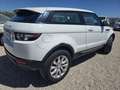 Land Rover Range Rover Evoque 2.2L TD4 Pure Tech 4x4 Aut. Blanc - thumbnail 5