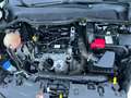 Ford Fiesta 1.1 Plus 85cv my18  OK x NEOPATENTATI Noir - thumbnail 13