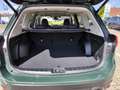 Subaru Forester 2.0ie e-Boxer Edition Black Platinum Vert - thumbnail 23