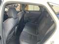 Kia ProCeed / pro_cee'd pro cee´d / ProCeed 1.6 T-GDI GT+AHK+Pano+Navi+K Weiß - thumbnail 10