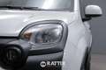 Fiat Panda 1.0 Firefly Hybrid 70CV Cross 5p.ti Wit - thumbnail 3
