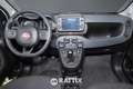 Fiat Panda 1.0 Firefly Hybrid 70CV Cross 5p.ti Wit - thumbnail 9